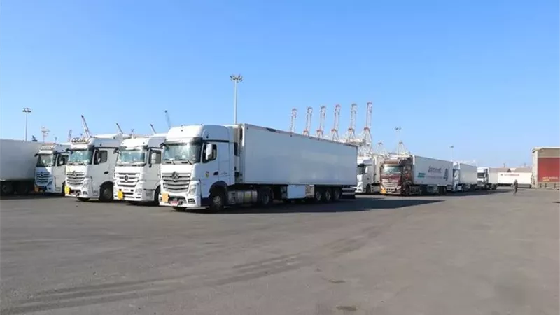 ميناء دمياط يعزز حركة الترانزيت غير المباشر إلى الأسواق الخليجية