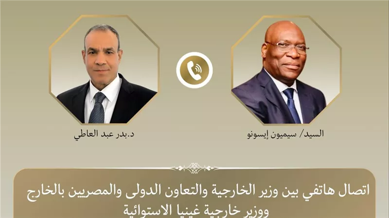 وزير الخارجية يبحث مع نظيره الغيني تعزيز العلاقات الاقتصادية ودعم قضايا السلم