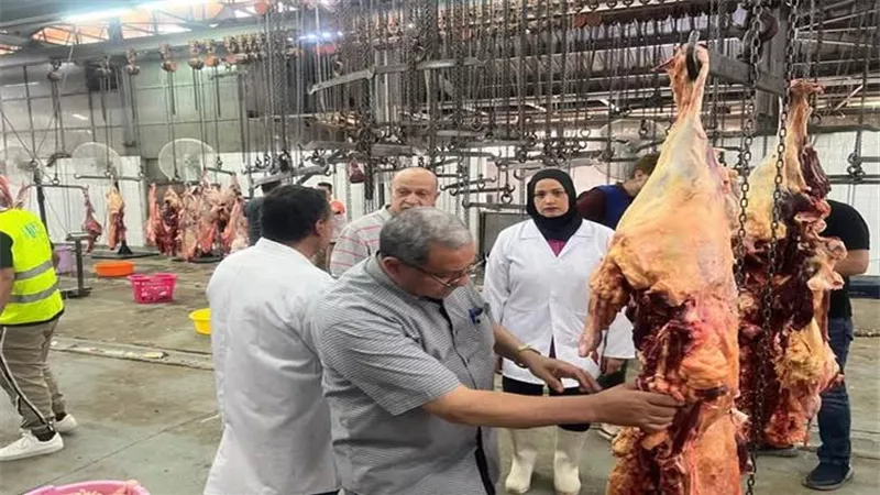 رفع درجة الجاهزية القصوى داخل المجازر الحكومية استعدادًا لعيد الأضحى 2026