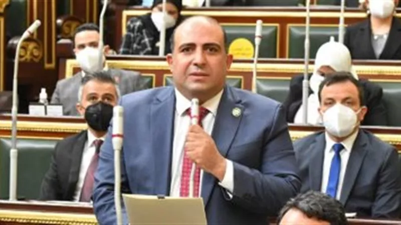 محمد سليم: زيارة رئيس البرلمان الليبي للقاهرة تدعم مسار الاستقرار بالمنطقة
