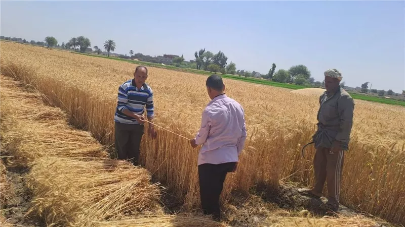 زراعة الشرقية تواصل تكثيف أنشطتها لدعم المزارعين وحماية البيئة
