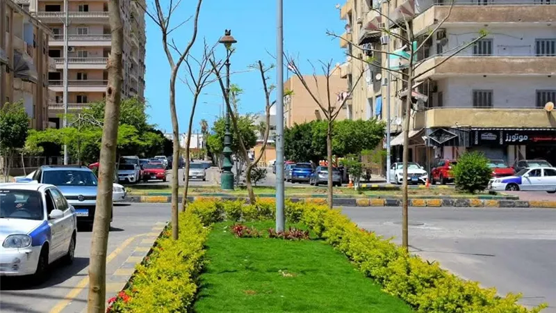 بورسعيد توسع المسطحات الخضراء ضمن خطة تحسين المظهر الحضاري