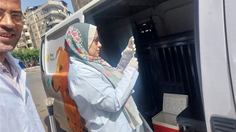 تحصين 805 كلاب ضالة وإجراء أكثر من 60 عملية تعقيم بالبحيرة