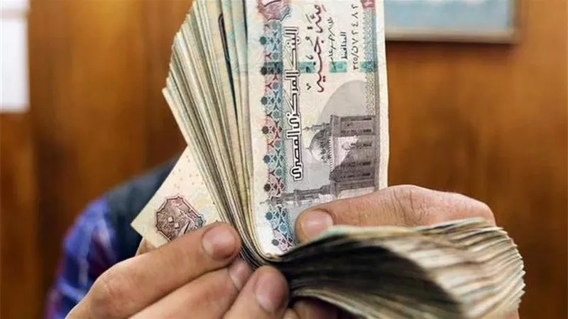 النواب يتحرك لإنقاذ أصحاب المعاشات قبل العيد.. صرف يدوي للحالات العاجلة