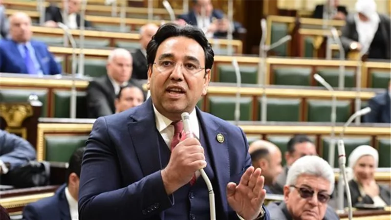 أيمن محسب يطالب الحكومة بخطة  لضبط الأسواق وأسعار اللحوم قبل عيد الأضحى
