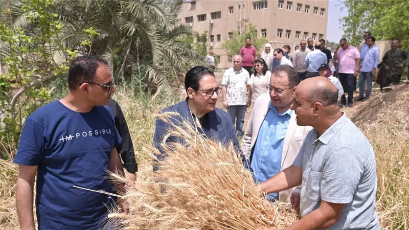 طفرة جديدة بمحطة البحوث الزراعية في جامعة القاهرة لدعم الإنتاج والبحث العلمي