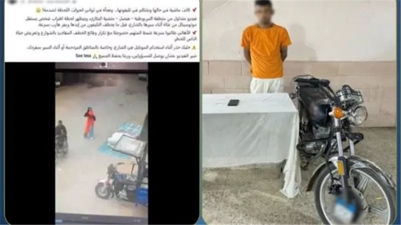 نهاية رحلة الهروب.. ضبط مسجل خطر سرق هاتف طالبة بالأهرام