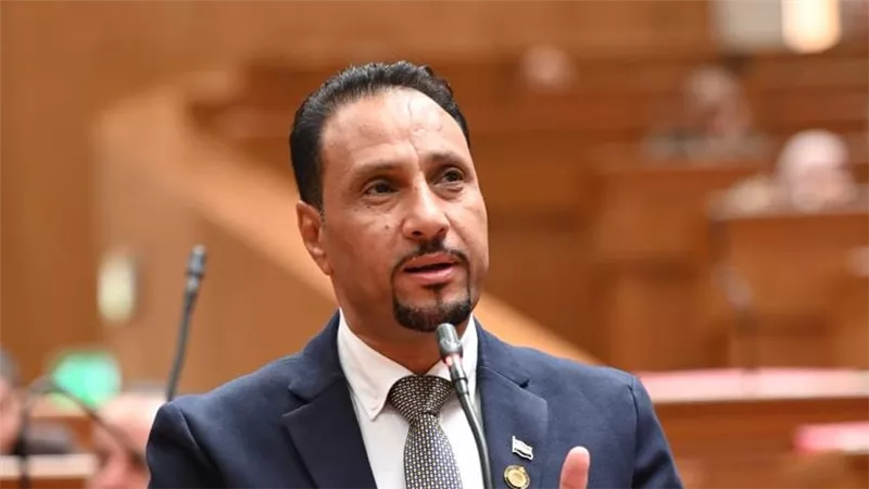 نائب: «الدلتا الجديدة» ملحمة تنموية تجسد رؤية الدولة نحو تحقيق الأمن الغذائي