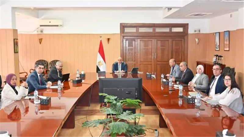 مصر واليابان تؤكدان استمرارالتنسيق المشترك ضمن الحوار التفاعلي