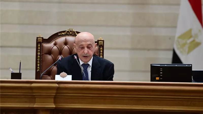 خبير: إشادة عقيلة صالح بمصر تؤكد نجاح القاهرة في دعم استقرار ليبيا|خاص