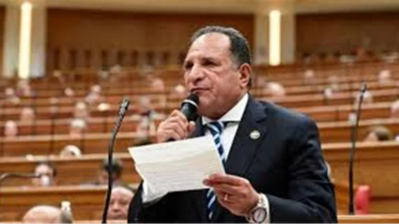 رسائل دعم لاستقرار ليبيبا.. أبو هميلة: أمن ليبيا جزء لا يتجزأ من أمن مصر