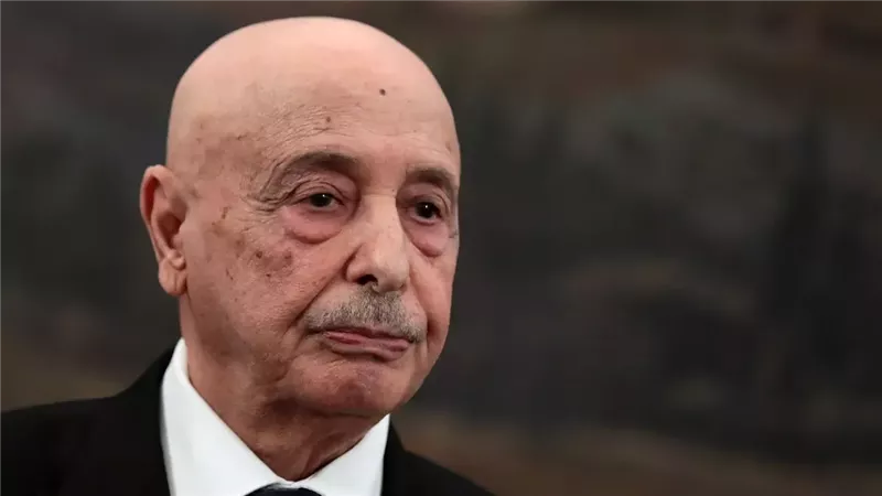 رئيس النواب الليبي: مصر شعاع الأمل والداعم الوحيد الذي لم يتبدل موقفه تجاه أزمتنا