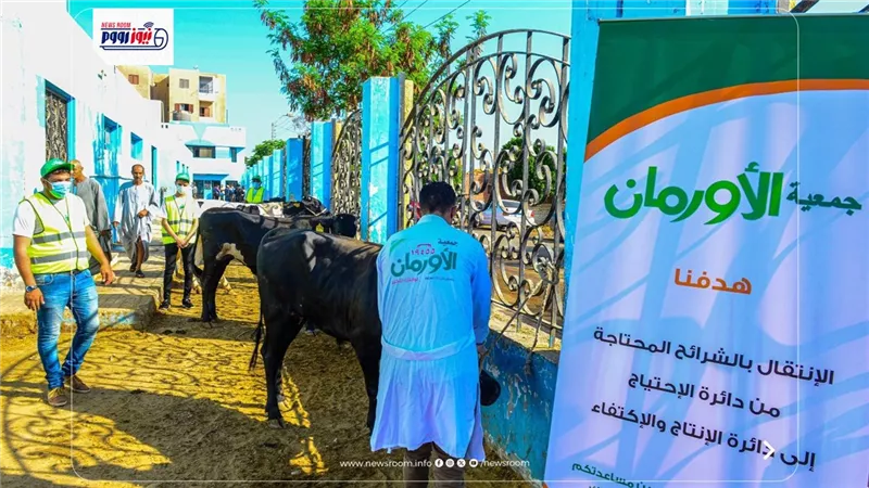 توزيع 75 ألف كيلو لحوم ونحر 50 عجلًا بلدياً داخل المجازر المعتمدة بالمنيا