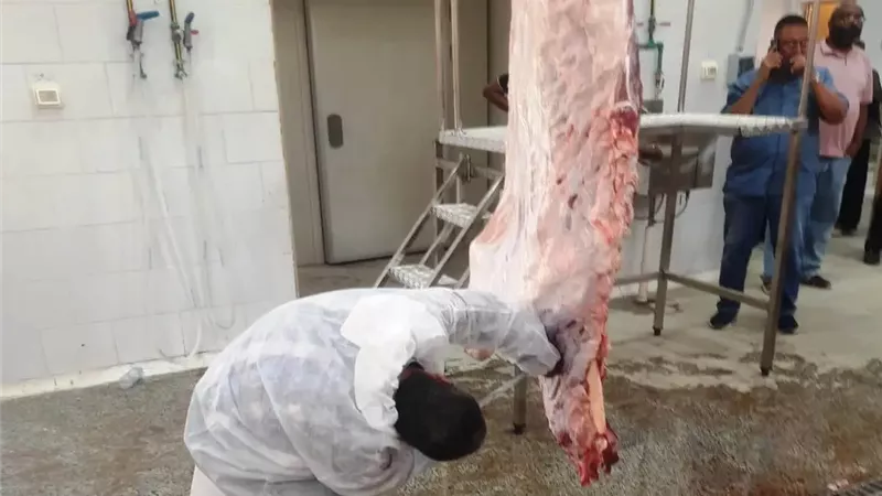 التشغيل التجريبى لمجزرى دراو وكلح الجبل بإدفو ضمن خطة تطوير المجازر بأسوان