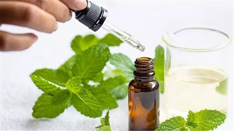 هل يصبح زيت النعناع بديل طبيعي لأدوية الضغط؟ دراسة حديثة تكشف