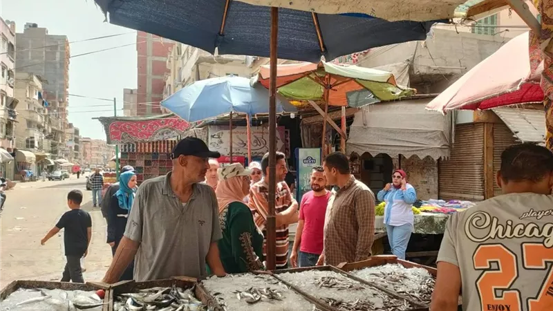 رفع 75 حالة إشغال بحملة في شوارع مدينة المحمودية بالبحيرة