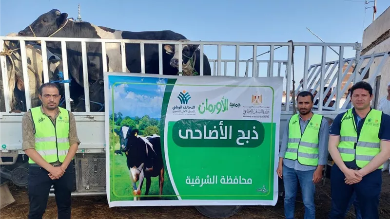 استعدادا لـ 