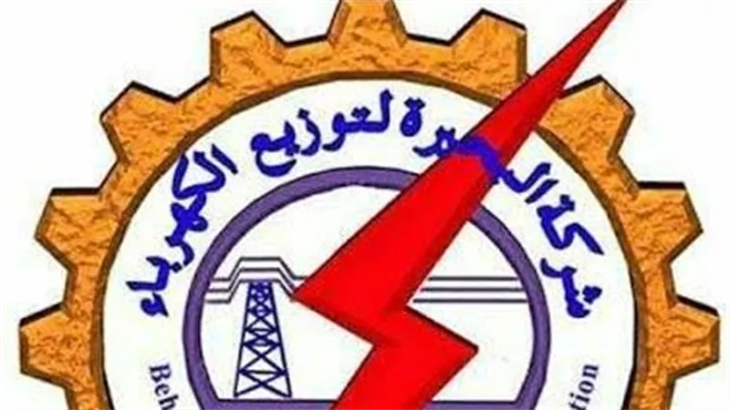رئيس شركة البحيرة لتوزيع الكهرباء يصدر حركة تنقلات كبيرة بالشبكات