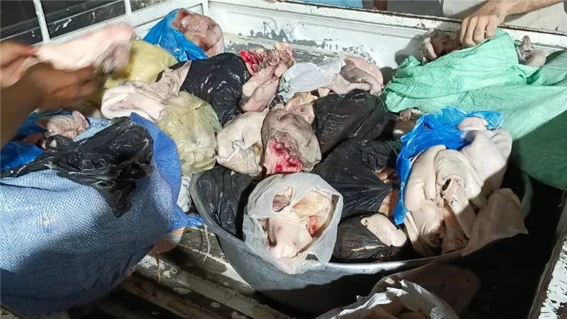 ضبط نصف طن لحوم فاسدة قبل إعادة تدويرها وتوزيعها على المطاعم بالمنوفية