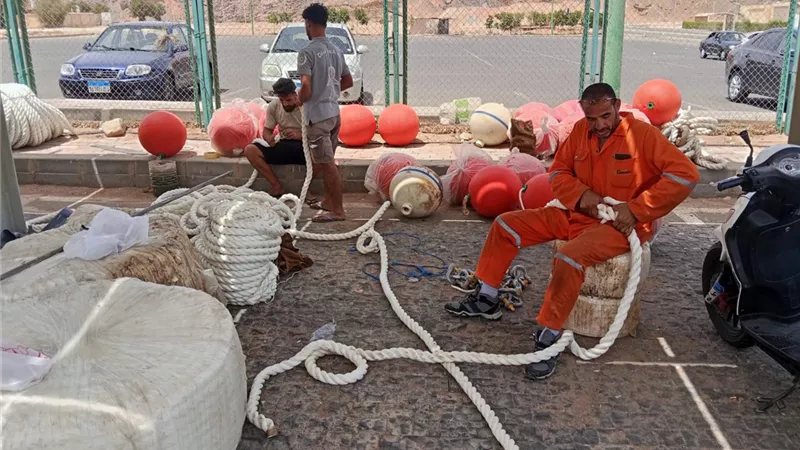 التنمية المحلية: تركيب 50 شمندورة لحماية الشعاب المرجانية بجنوب سيناء