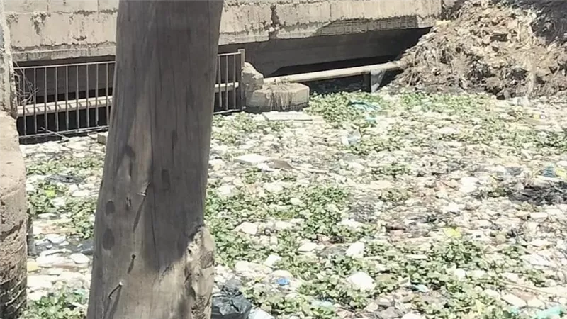كارثة بيئية تهدد حياة وصحة أهالى قرية كفر طنبدي بمركز شبين الكوم بالمنوفية