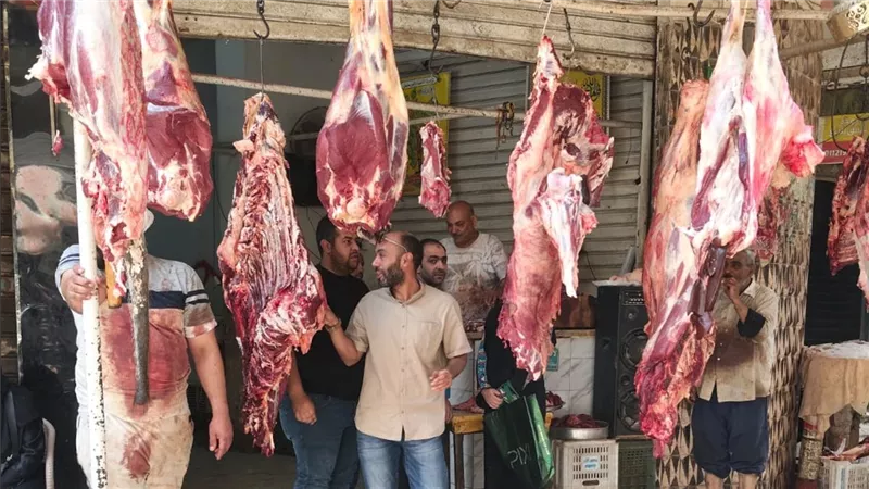 الجيزة: ضبط 6 أطنان هياكل دواجن ومصنعات لحوم فاسدة غير صالحة للاستهلاك الآدمي