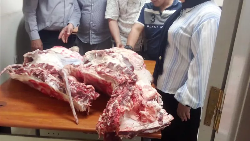 حملات تموينية موسعة تضبط طن لحوم وسلع مجهولة المصدر بالغربية