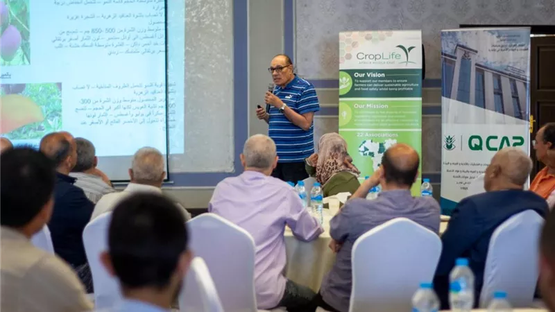 متبقيات المبيدات ينظم ورشة لدعم منتجي ومصدري المانجو بالإسماعيلية