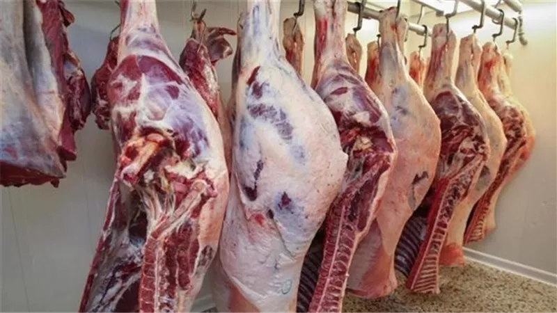 قبل العيد.. الحكومة تضخ 6 ألاف طن لحوم و18 ألف طن سلع بأسعار مخفضة