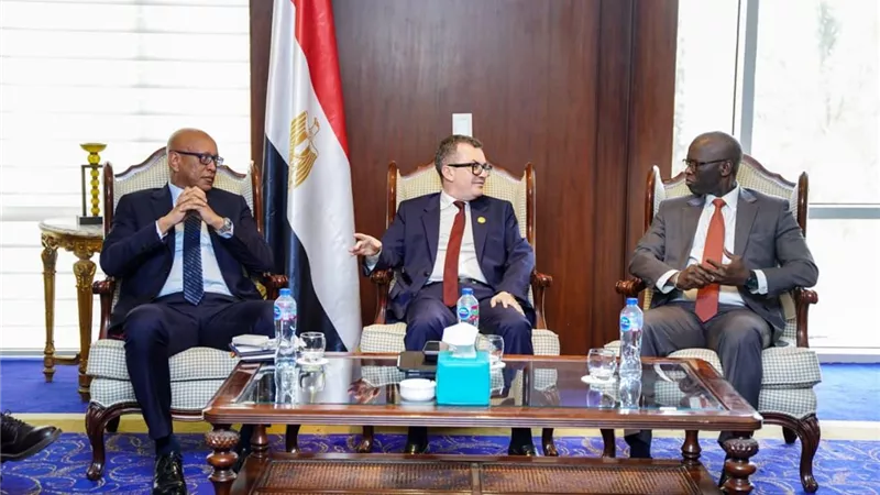 وزير التخطيط ورئيس مؤسسة التمويل الدولية يبحثان تفعيل ضمان مشروعات البنية التحتية