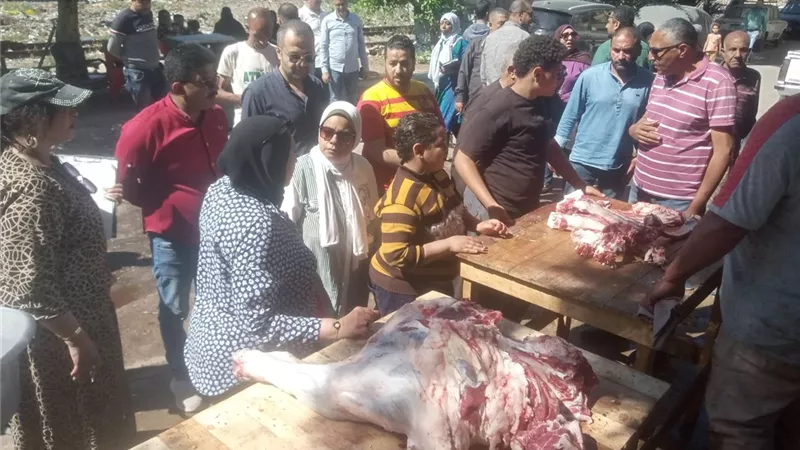 إعدام 176 كجم أغذية غير صالحة وتحصيل 714 ألف جنيه غرامات في الإسكندرية