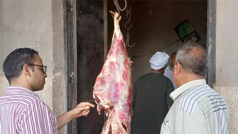 محافظ أسيوط: ضبط 351 مخالفة تموينية بينها 93 كجم لحوم فاسدة