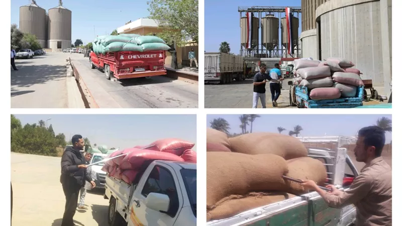 وكيل تموين بنى سويف: إيقاف توريد القمح بالصوامع والشون أول أيام عيد الأضحى فقط
