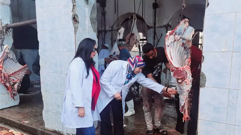 بيطري الشرقية: إتاحة 16 مجزرا حكوميا وتوفير أطباء بيطريين لذبح أضاحى المواطنين