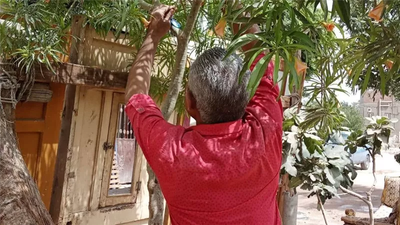محافظ أسيوط: استمرار تركيب الأكواد التعريفية لأشجار مبادرة 100 مليون شجرة