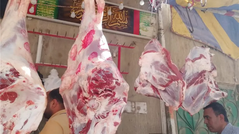 محافظة البحيرة تعلن تشغيل 34 شادرًا لبيع اللحوم بأسعار مخفضة قبل العيد