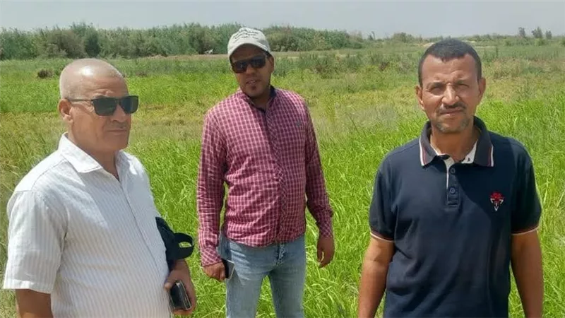 محافظة سوهاج تنفي زراعة خضروات بمياه الصرف الصحي بأخميم