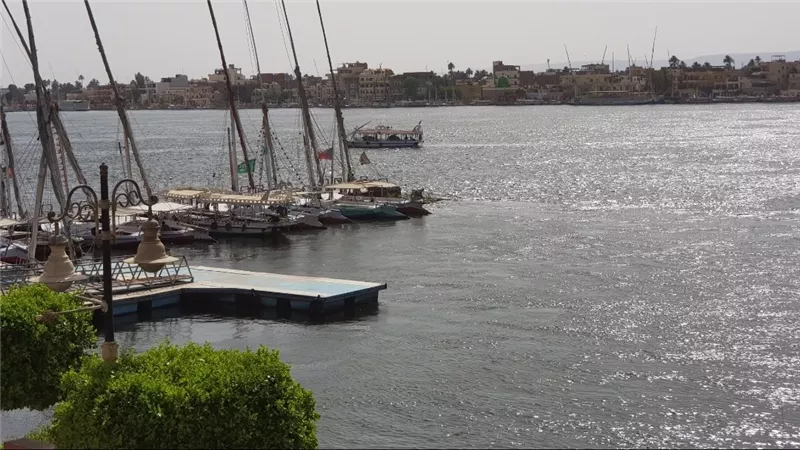 بعد نشر «نيوز رووم».. استجابة فورية لإزالة ورد النيل من مرسى الرحلات 
