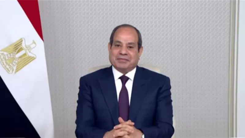 السيسي يؤكد بيوم أفريقيا دعم التكامل والتنمية وحماية مقدرات الشعوب الإفريقية