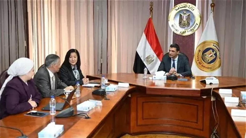 وزير الصناعة يبحث مع الأمم المتحدة الإنمائي تعزيز التحول الأخضر بمصر