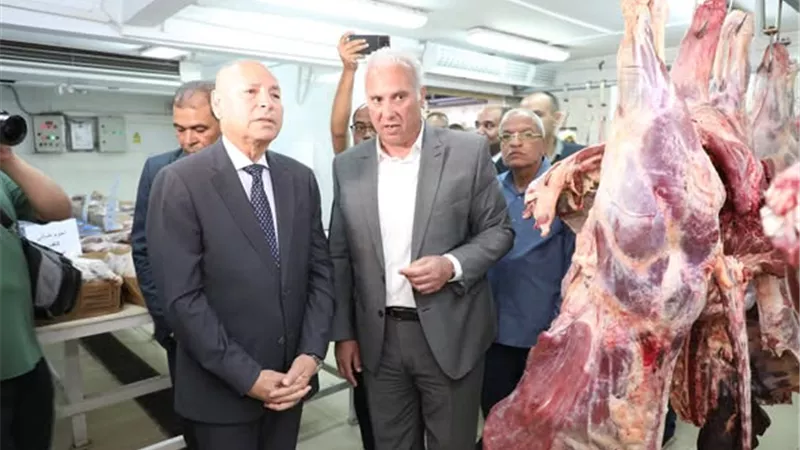 محافظ القاهرة يتفقد منافذ بيع اللحوم والدواجن استعدادًا لعيد الأضحى