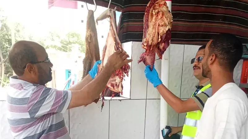 قبل العيد.. حملات مكثفة للطب البيطرى بأسوان على محلات الجزارة والأسواق