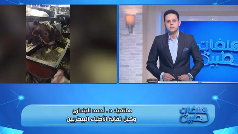 وكيل الأطباء البيطريين: المجازر بالمجان طوال العيد والذبح في الشوارع ضرر وضرار