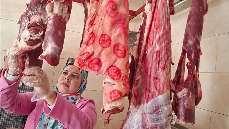 حملة تفتيشية مكثفة على محلات اللحوم والدواجن والأسماك بالسويس استعدادا للعيد