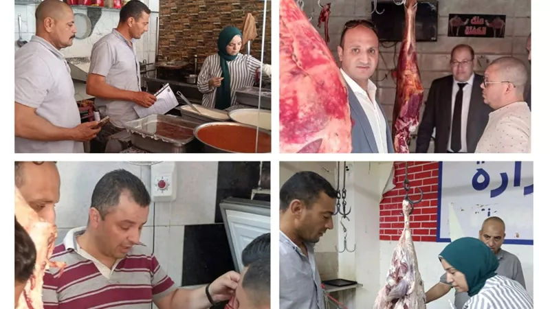 ضبط لحوم غير صالحة بمراكز بنى سويف وناصر والواسطى قبل عيد الأضحى 