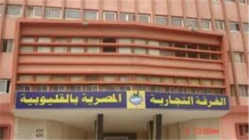 الفيومي:التحول الرقمي بقطاع الأعمال العام لم يكتمل رغم مرور7 سنوات على إطلاقة