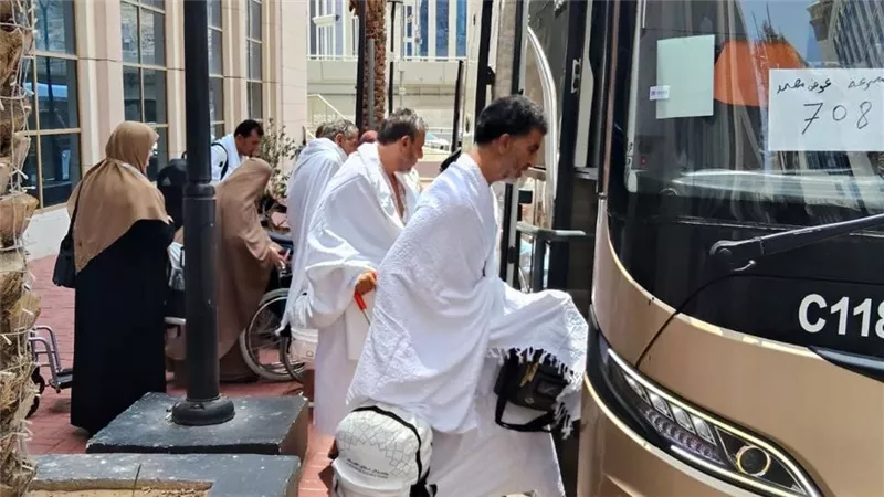 1200 باص حديث لتصعيد 52‎%‎ من حجاج السياحة المصريين 