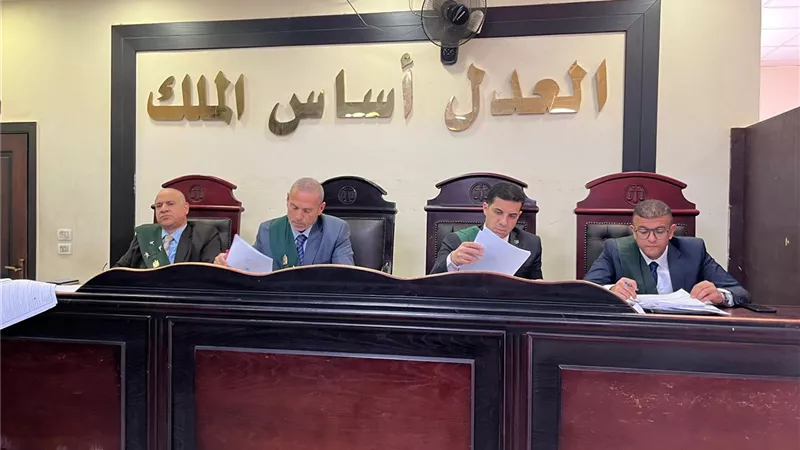 تأجيل محاكمة رئيس مجموعة القروض متناهية الصغر» بتهمة التزوير والاستيلاء لجلسة
