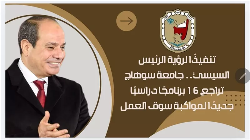 تنفيذًا لرؤية الرئيس السيسي.. جامعة سوهاج تراجع 16 برنامجًا دراسيًا جديدًا 