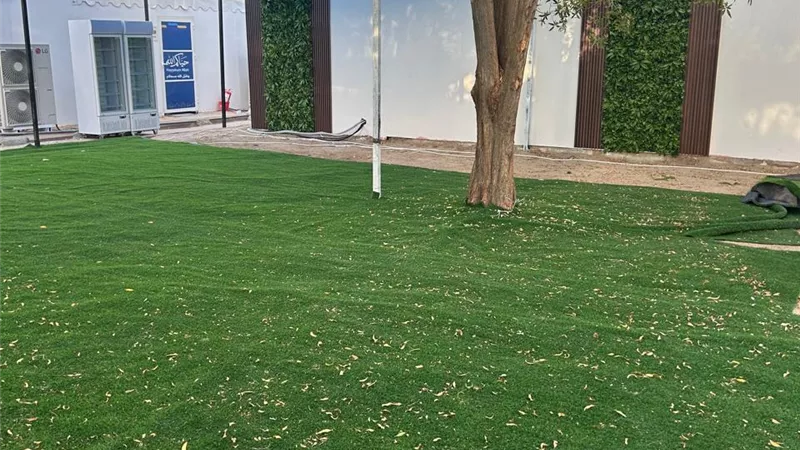 طفرة غير مسبوقة بمخيمات الحج السياحى الاقتصادى والبرى وسط ترحيب من الشركات